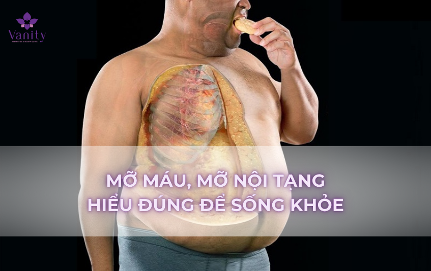 thuc-pham-giam-mo-mau-mo-noi-tang